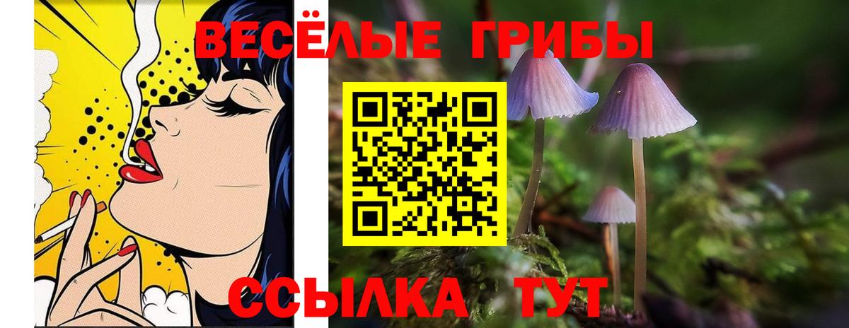 Елизово  Псилоцибиновые грибы Psilocybine cubensis  Галлюциногенные грибы ЛСД  Вход с VPN 
